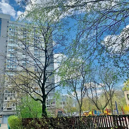 Bright 14th Floor With Balcony & Views
